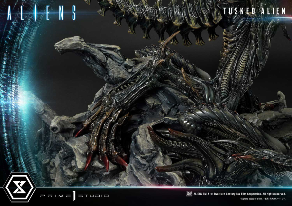 Prime 1 Studio Premium Masterline Aliens (Comics) Tusked Alien Bonus Version(4580708036014)(4580708036014)