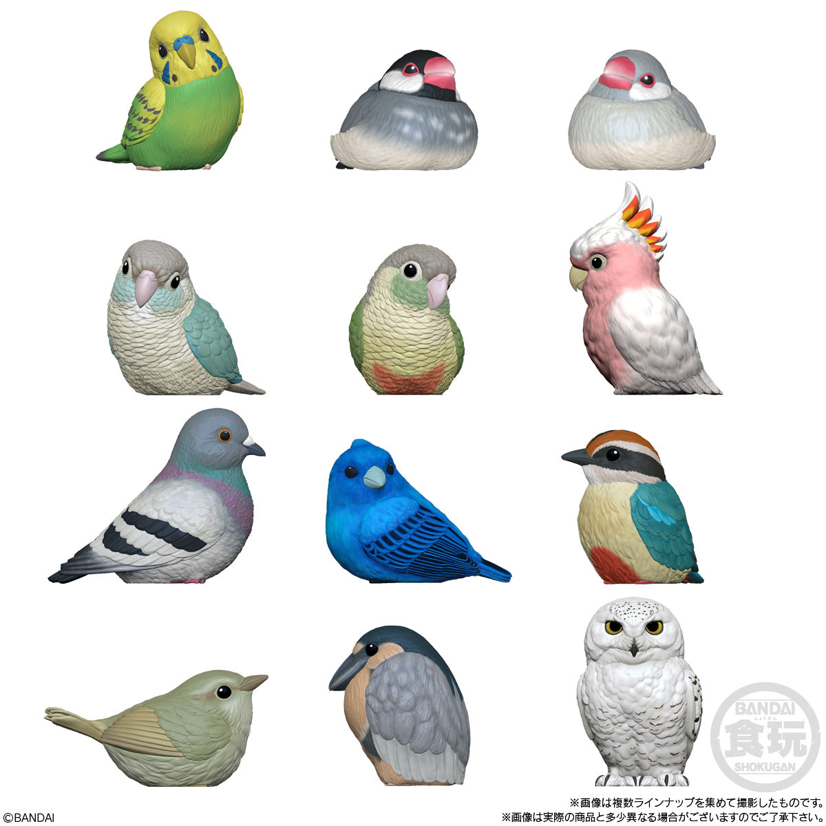 Bandai Shokugan Tenori Friends Tenori Friends 10 - Bird (Box/12)