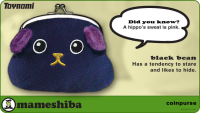 Toynami Mameshiba Coin Purse - Black Bean