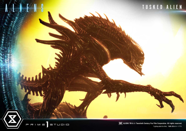 Prime 1 Studio Premium Masterline Aliens (Comics) Tusked Alien Bonus Version(4580708036014)(4580708036014)