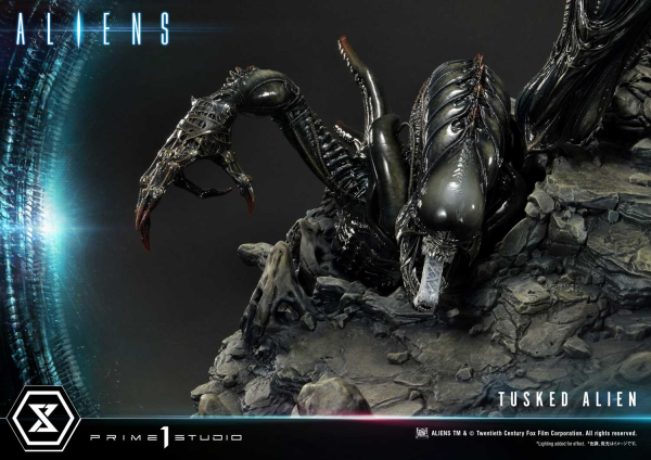 Prime 1 Studio Premium Masterline Aliens (Comics) Tusked Alien Bonus Version(4580708036014)(4580708036014)