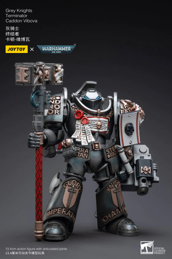 Joy Toy Grey Knights  Terminator  Caddon Vibova