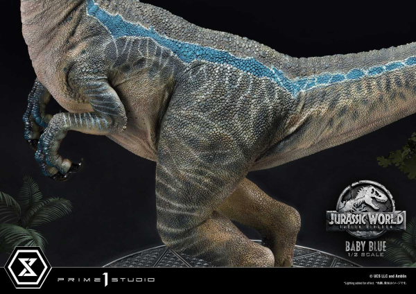 Prime 1 Studio Legacy Museum Collection Jurassic World: Fallen Kingdom (Film) Baby Blue 1/2 scale | 4580708035994