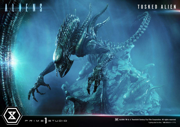 Prime 1 Studio Premium Masterline Aliens (Comics) Tusked Alien Bonus Version(4580708036014)(4580708036014)