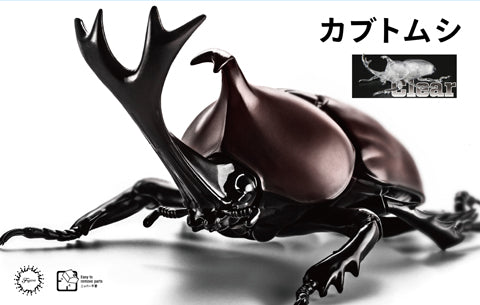 Fujimi Biology Edition Beetle (Clear)