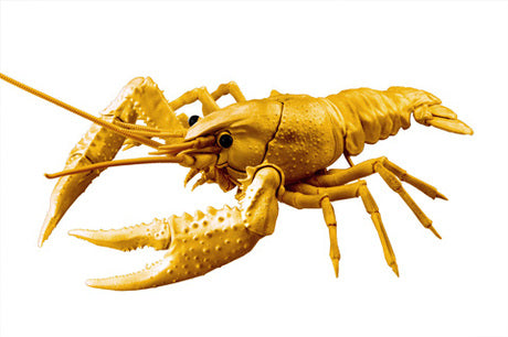 Fujimi Biology Edition Crayfish (Gold)