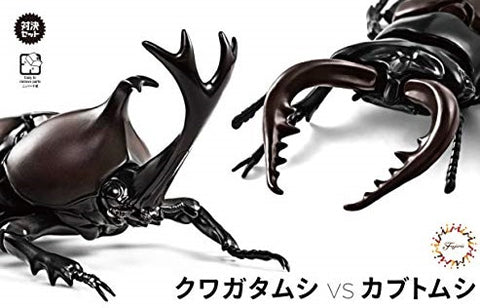 Fujimi Biology Edition Beetle vs Stag Beetle Showdown Set