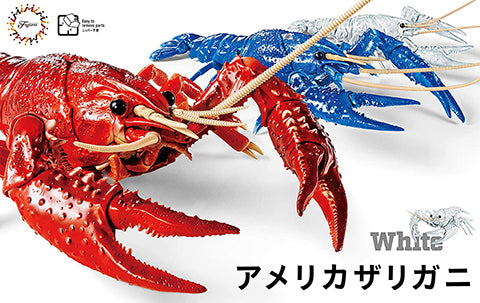 Fujimi Biology Research 24EX-2 Procambarus Clarkii / Louisiana Crawfish (White) Biology Edition