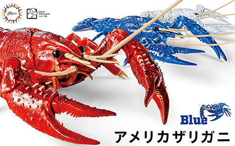 Fujimi Biology Edition Crayfish (Blue)