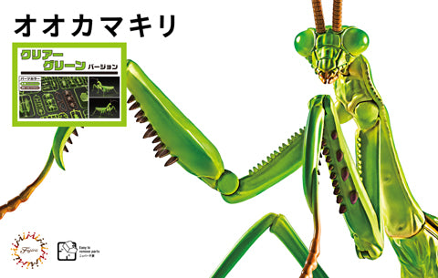 Fujimi Non Scale Biology Edition Big Mantis (Clear Green)