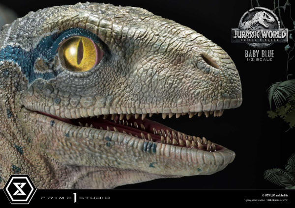 Prime 1 Studio Legacy Museum Collection Jurassic World: Fallen Kingdom (Film) Baby Blue 1/2 scale | 4580708035994