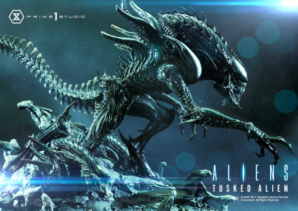 Prime 1 Studio Premium Masterline Aliens (Comics) Tusked Alien Bonus Version(4580708036014)(4580708036014)