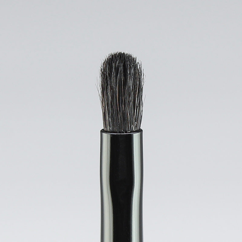 Hasegawa Gradation Brush (M) (KF102)