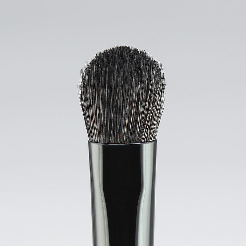 Hasegawa Gradation Brush (L) (KF101)