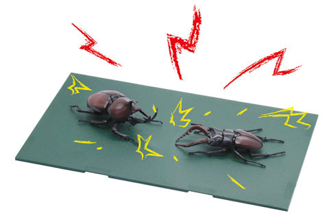 Fujimi Biology Edition Beetle vs Stag Beetle Showdown Set