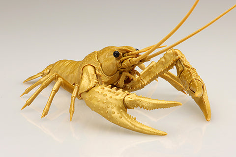 Fujimi Biology Edition Crayfish (Gold)