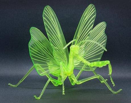 Fujimi Non Scale Biology Edition Big Mantis (Clear Green)