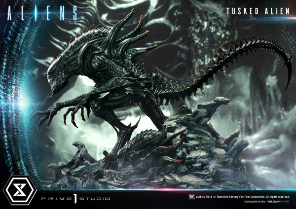 Prime 1 Studio Premium Masterline Aliens (Comics) Tusked Alien Bonus Version(4580708036014)(4580708036014)