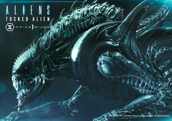 Prime 1 Studio Premium Masterline Aliens (Comics) Tusked Alien Bonus Version(4580708036014)(4580708036014)