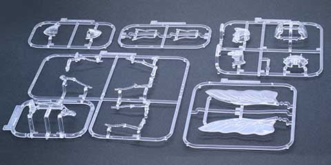 Fujimi Biology Edition Beetle (Clear)