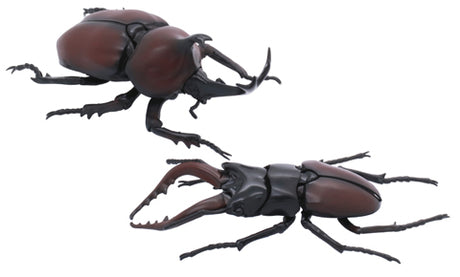 Fujimi Biology Edition Beetle vs Stag Beetle Showdown Set