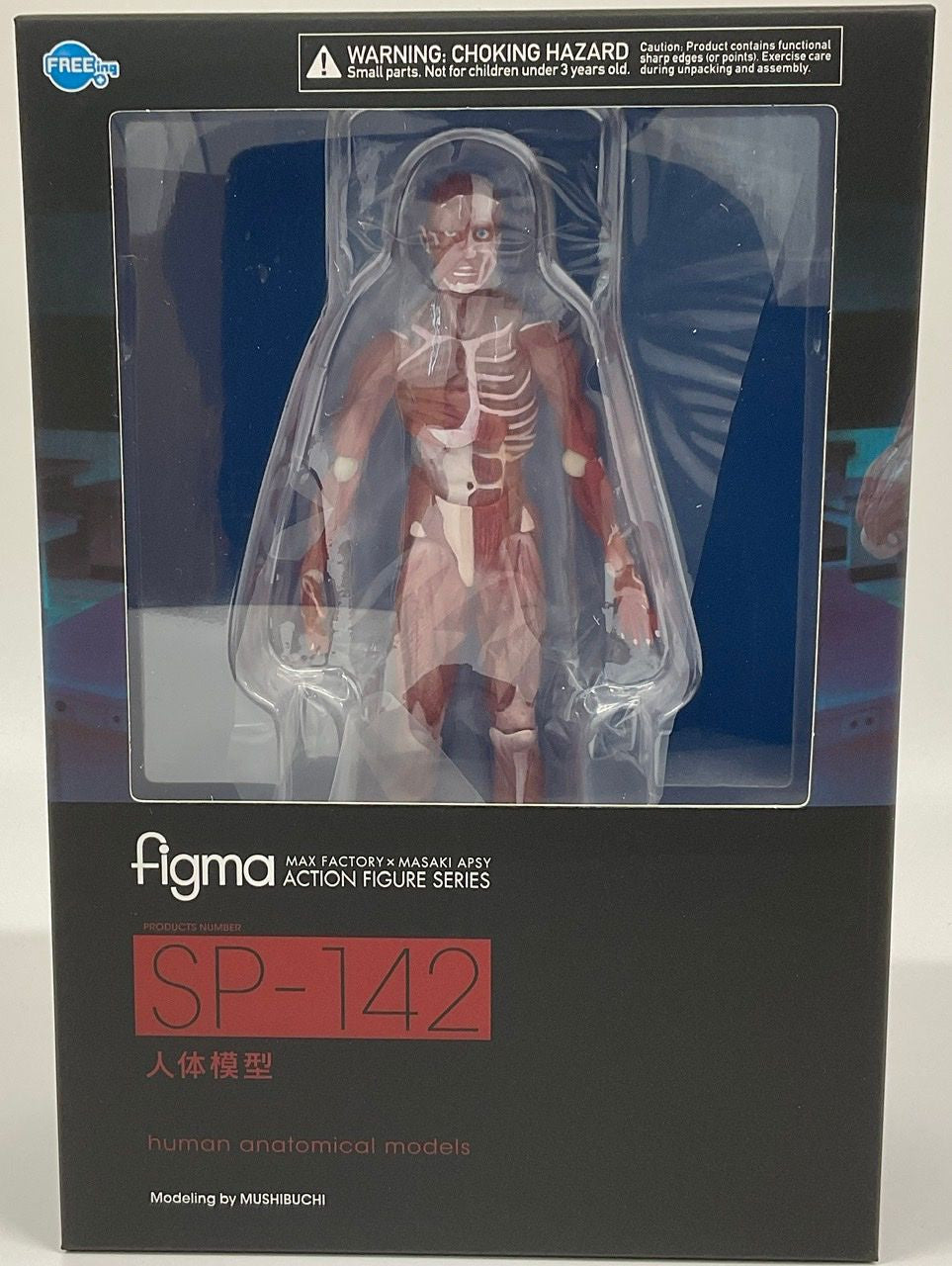 Good Smile Company [GoodSmile] figma Human Anatomical Model