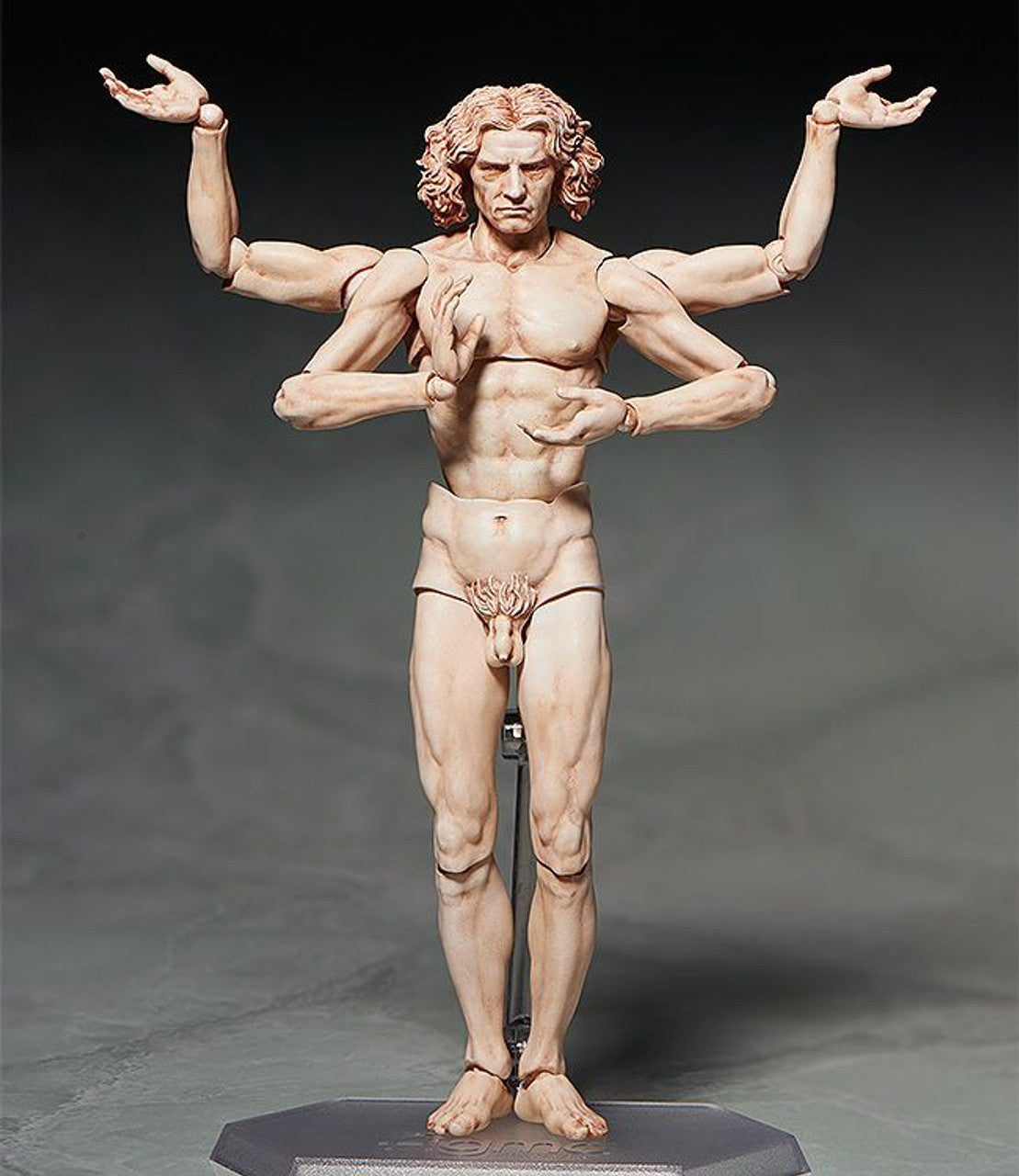 Good Smile Company [GoodSmile] figma Vitruvian Man(2nd re-run)