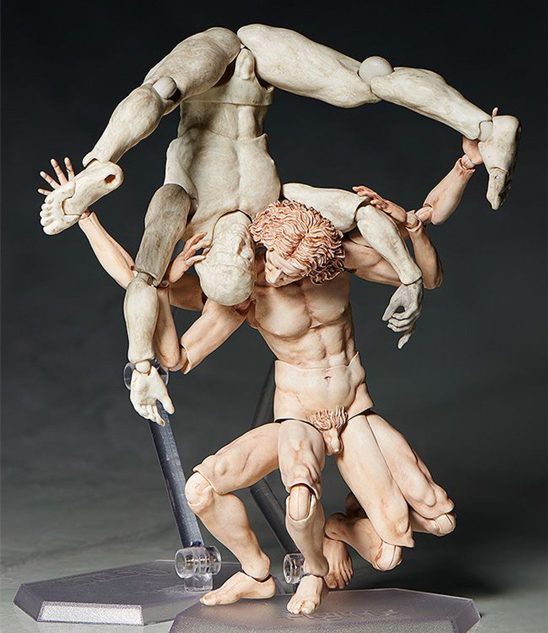 Good Smile Company [GoodSmile] figma Vitruvian Man(2nd re-run)