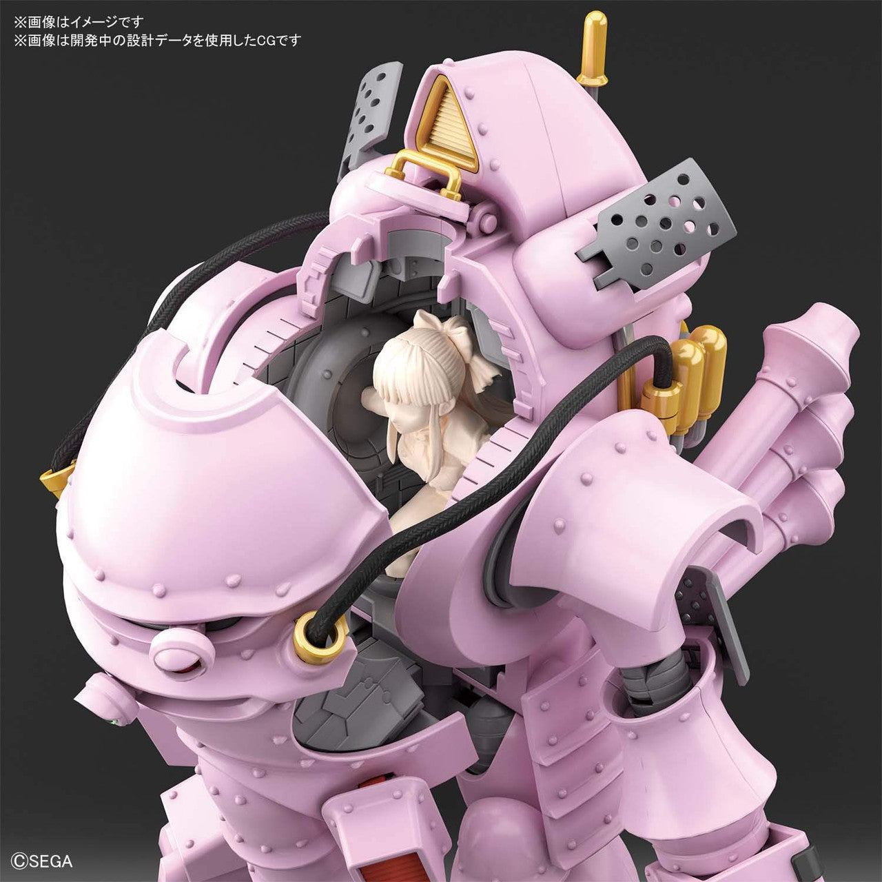 BANDAI Hobby HG 1/20 KOBU-KAI (SAKURA SHINGUJI TYPE)