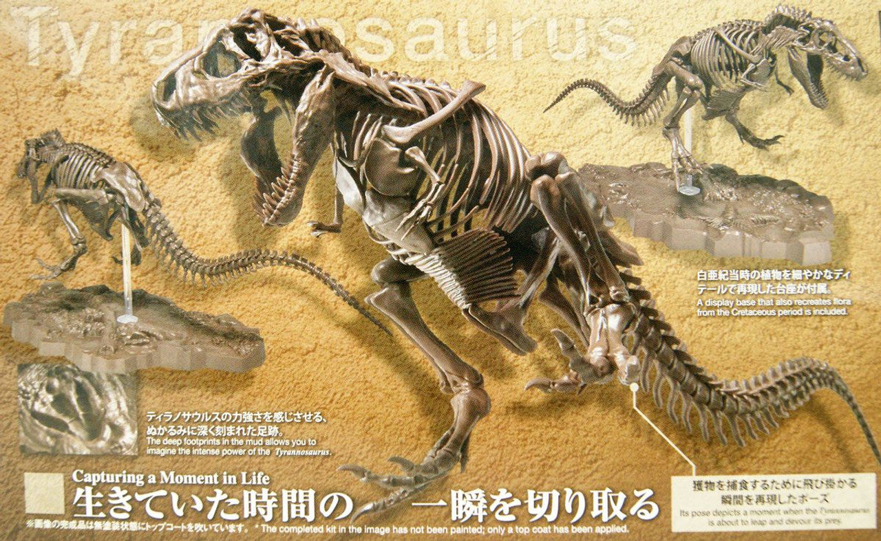 BANDAI HOBBY 1/32 Imaginary Skeleton Tyrannosaurus(4573102618009)