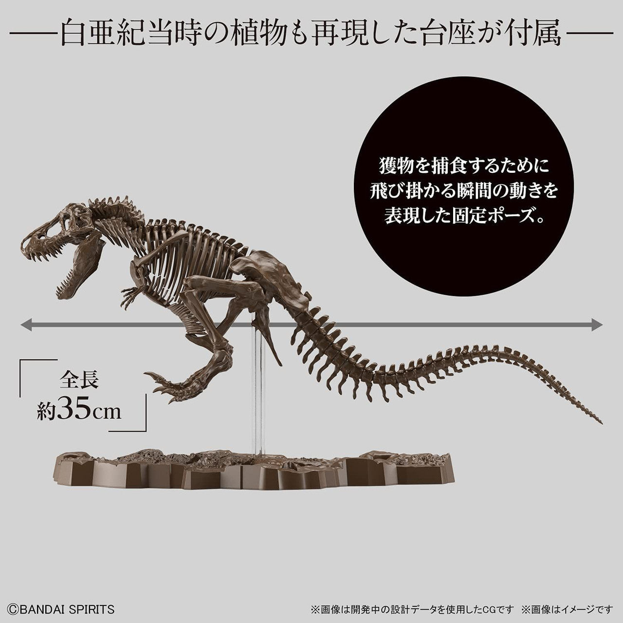 BANDAI HOBBY 1/32 Imaginary Skeleton Tyrannosaurus(4573102618009)