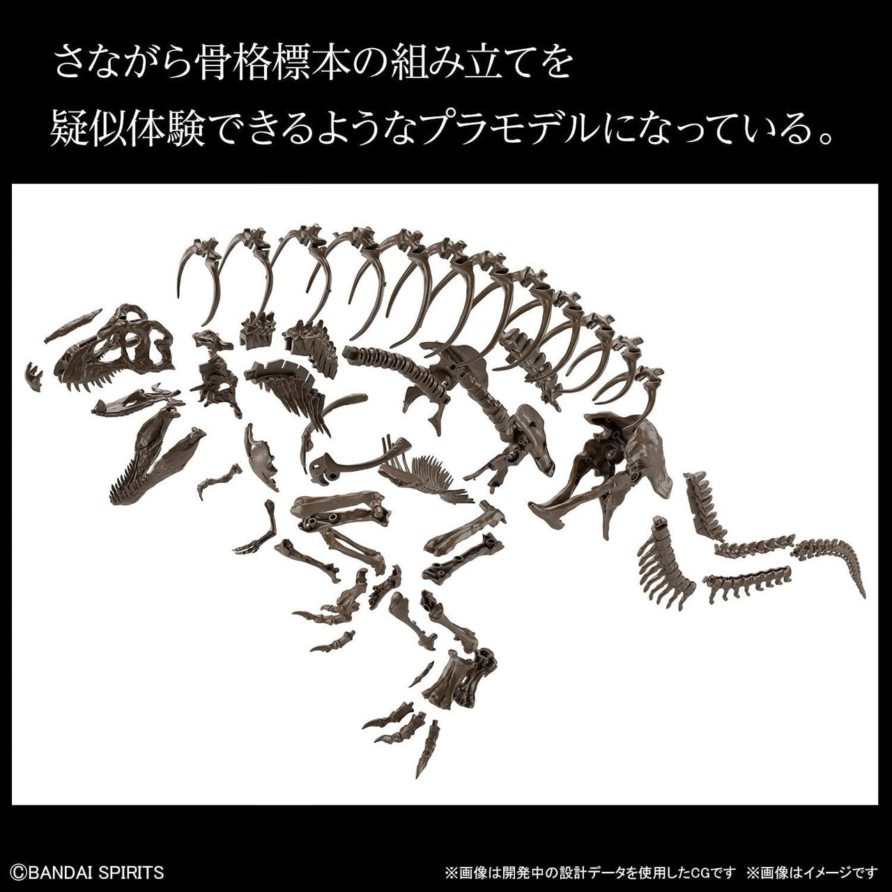 BANDAI Hobby 1/32 Imaginary Skeleton Tyrannosaurus