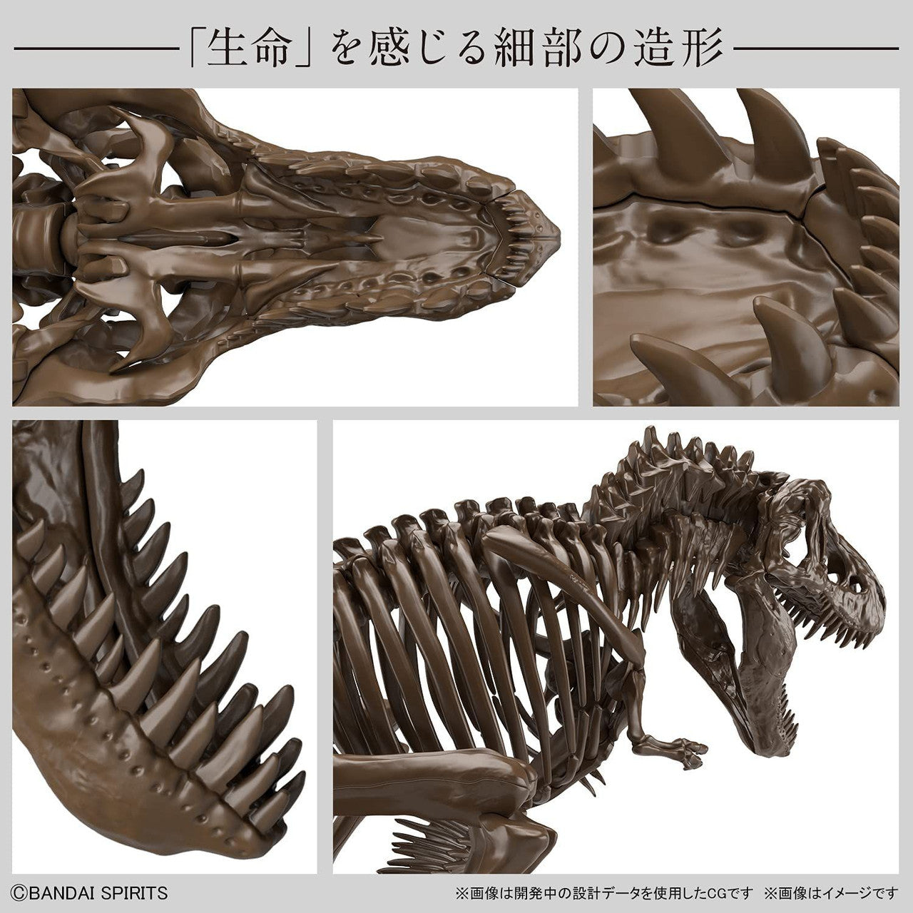 BANDAI Hobby 1/32 Imaginary Skeleton Tyrannosaurus