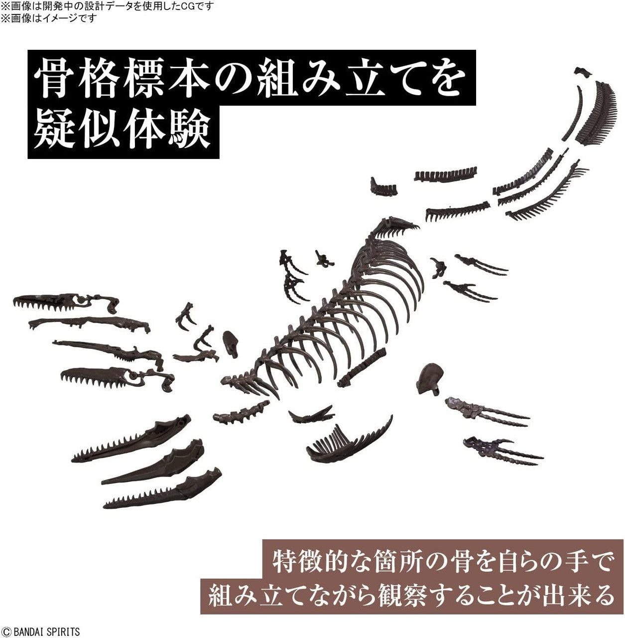 BANDAI HOBBY 1/32 Imaginary Skeleton Mosasaurus(4573102654281)