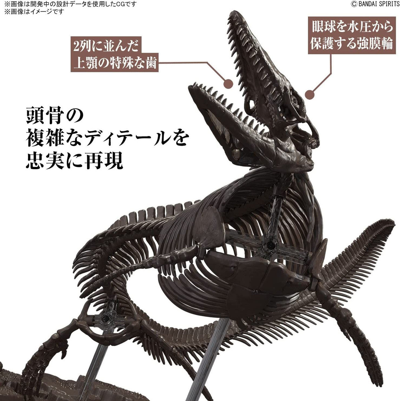 BANDAI Hobby 1/32 Imaginary Skeleton Mosasaurus