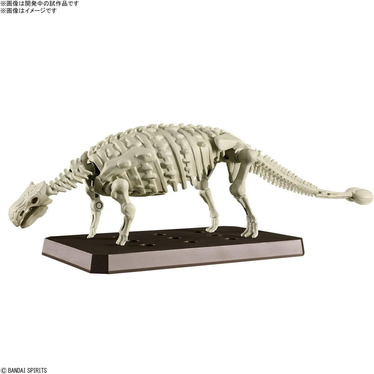 BANDAI Hobby PLANNOSAURUS Ankylosaurus