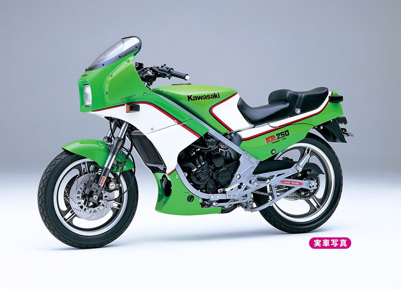 Hasegawa [BK12] 1:12 Kawasaki KR250 (KR250A)