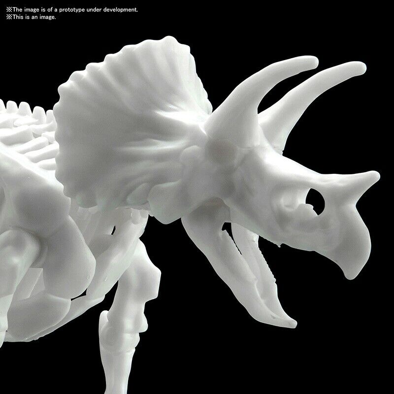 Bandai Spirits 1/32 Triceratops Dinosaur Limex Skeleton Model Kit