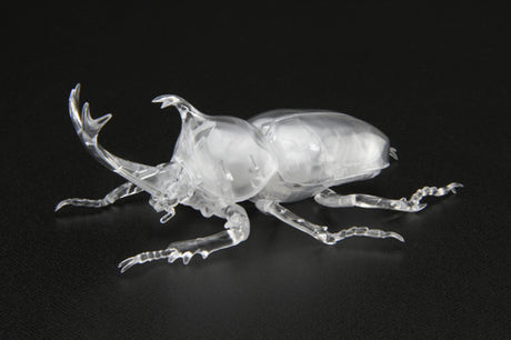 Fujimi Biology Edition Beetle (Clear)