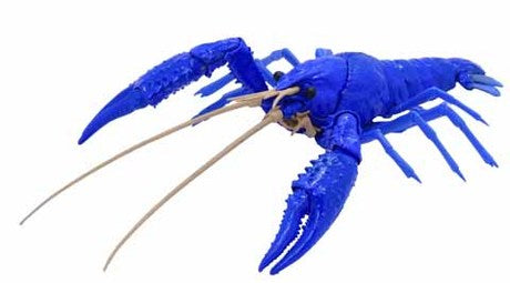 Fujimi Biology Edition Crayfish (Blue)