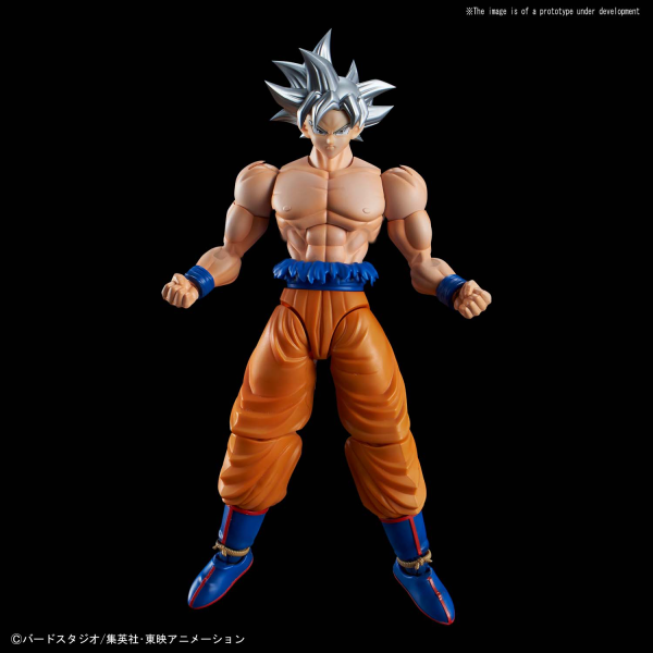 BANDAI Hobby Figure-rise Standard SON GOKOU (ULTRA INSTINCT)(4573102557100)(4573102557100)