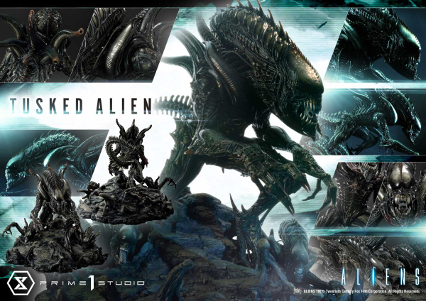 Prime 1 Studio Premium Masterline Aliens (Comics) Tusked Alien Bonus Version(4580708036014)(4580708036014)