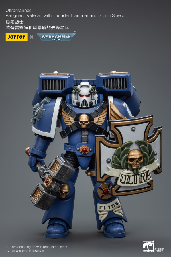 Joy Toy Ultramarines Vanguard Veteran with Thunder Hammer and Storm Shield