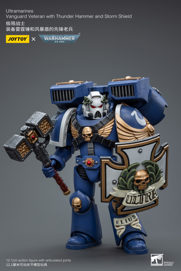 Joy Toy Ultramarines Vanguard Veteran with Thunder Hammer and Storm Shield