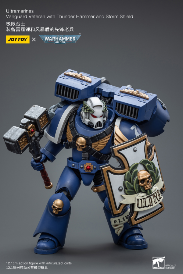 Joy Toy Ultramarines Vanguard Veteran with Thunder Hammer and Storm Shield