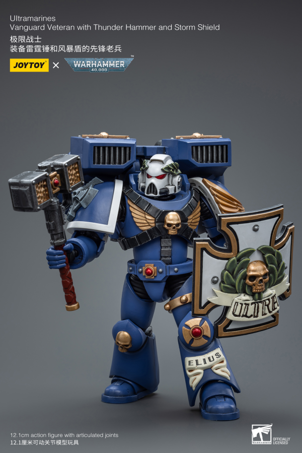 Joy Toy Ultramarines Vanguard Veteran with Thunder Hammer and Storm Shield