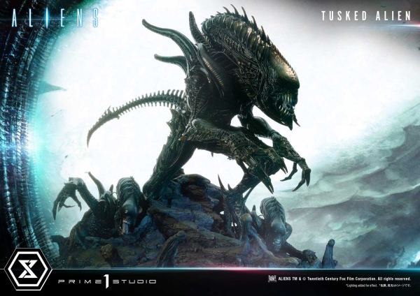 Prime 1 Studio Premium Masterline Aliens (Comics) Tusked Alien Bonus Version(4580708036014)(4580708036014)