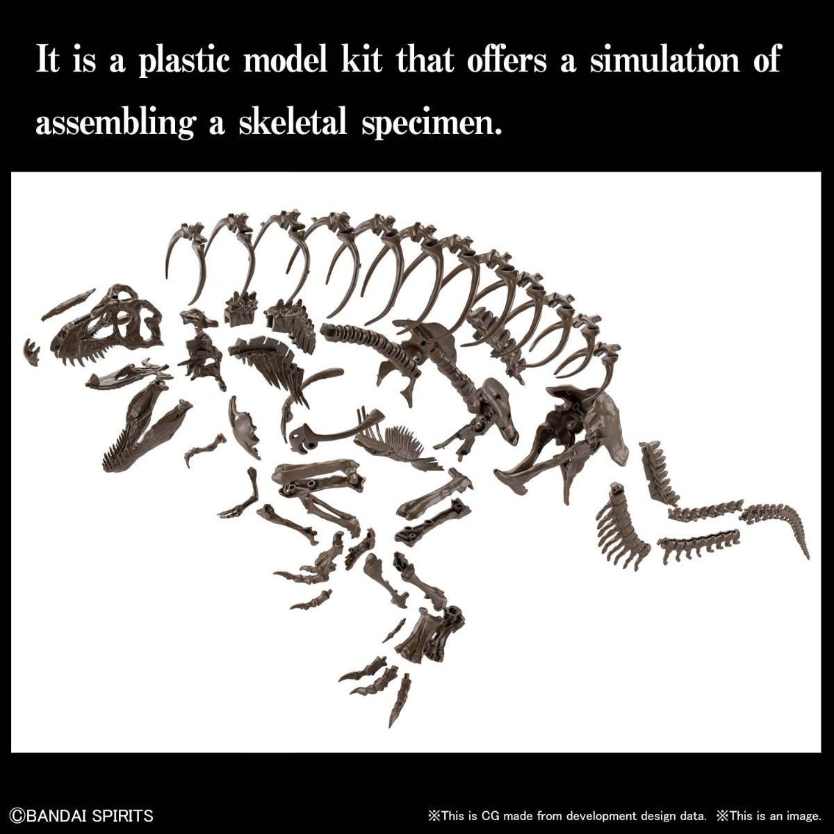 BANDAI HOBBY 1/32 Imaginary Skeleton Tyrannosaurus(4573102618009)