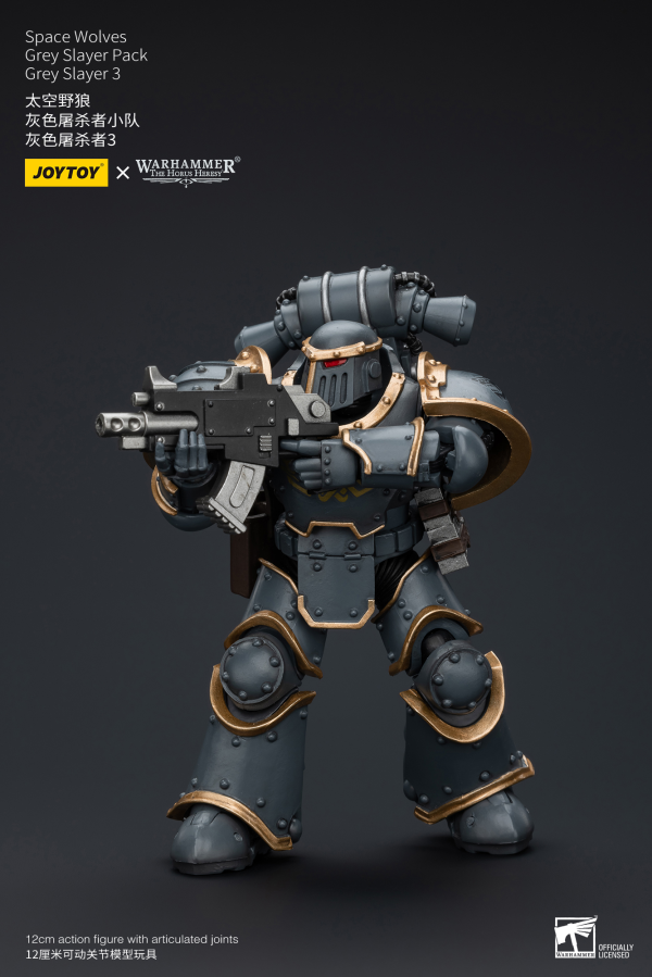 Joy Toy Space Wolves Grey Slayer Pack Grey Slayer3(6973130376076)(6973130376076)