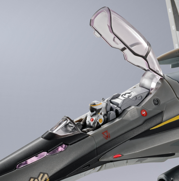 BANDAI Tamashii VF-25S ARMORED MESSIAH VALKYRIE(OZMA・LEE USE) RIVIVAL Ver. "MACROSS", TAMASHII NATIONS DX CHOGOKIN